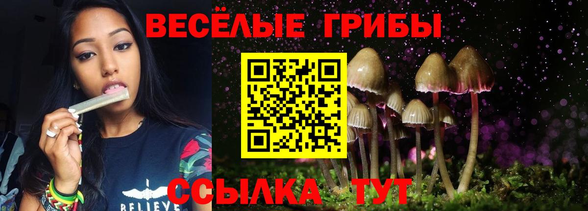 Псилоцибиновые грибы мицелий  Псилоцибиновые грибы Magic Shrooms  Дубна  Вход с VPN 