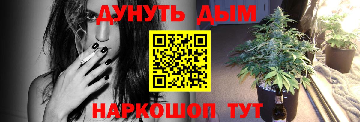 Канабис план  Конопля OG Kush  Дубна  Марихуана конопля  Вход с VPN 